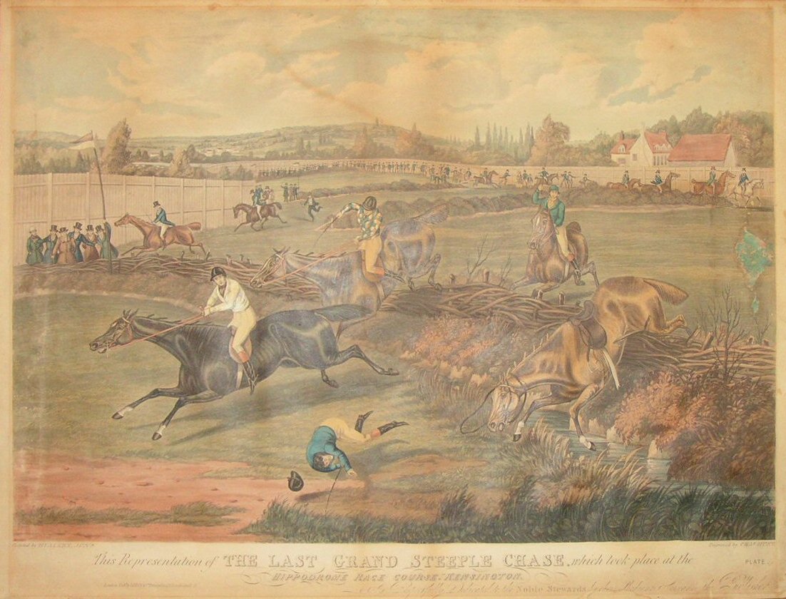Aquatint - This Representation of The Last Grand Steeplechase which took place at the Hippodrome Race Course, Kensington is respectfully dedicated to the Noble Stewards by their most obedient servant, the publisher. - Hunt